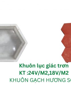 Khuôn gạch lục giác trơn