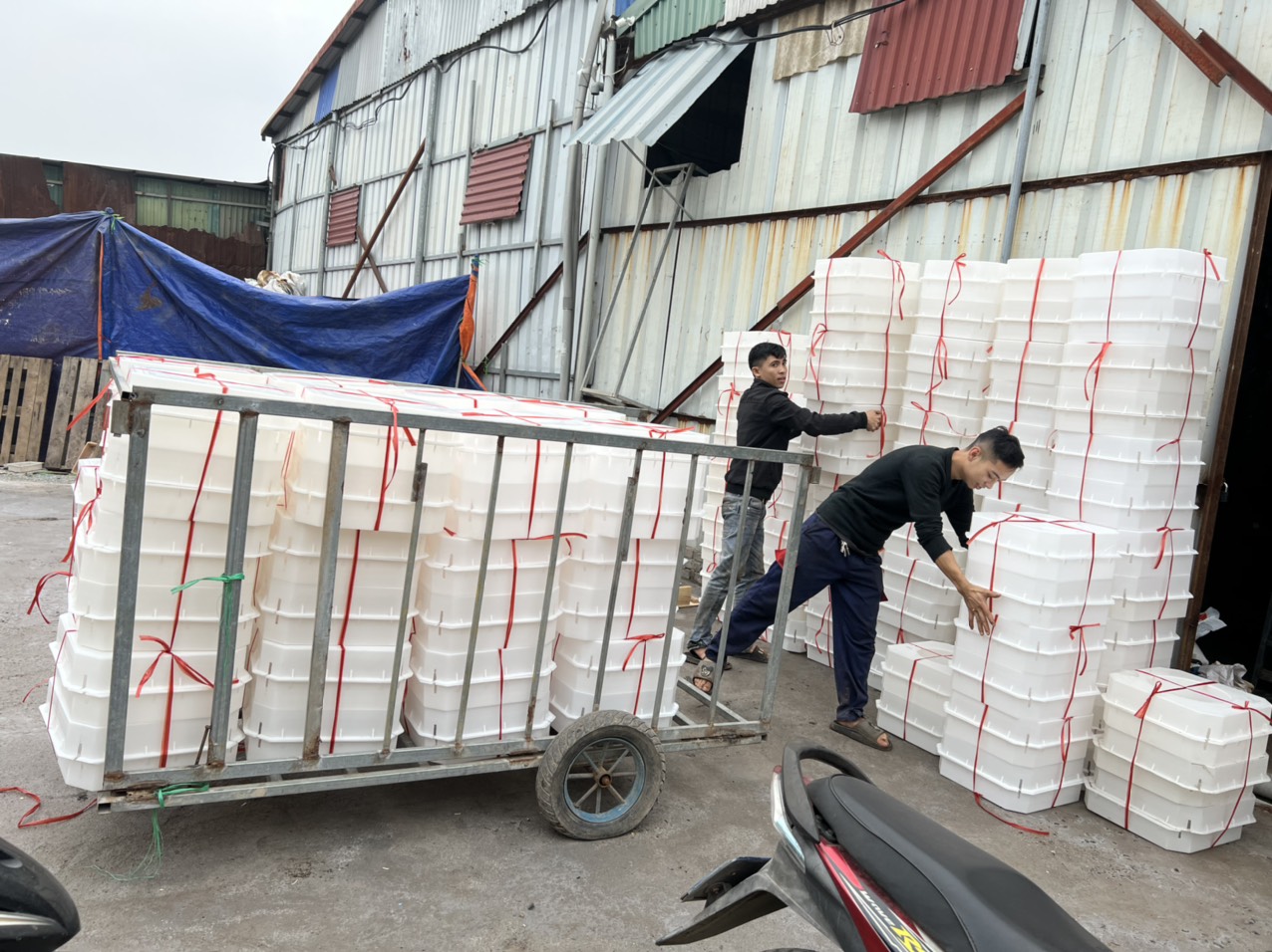 khuôn nhựa đúc tấm lát mái taluy 40x40x5 cm tại Nhựa Hương Sơn
